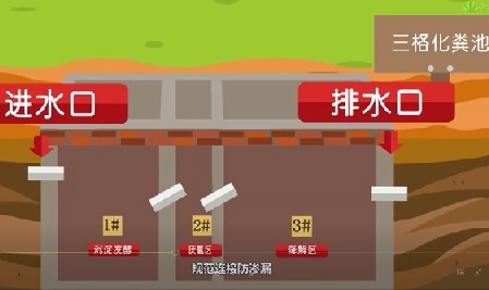 ��廷������